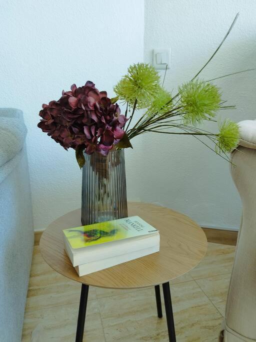 Love Rent4 Malaga Tamarindo Benalmádena Exteriér fotografie